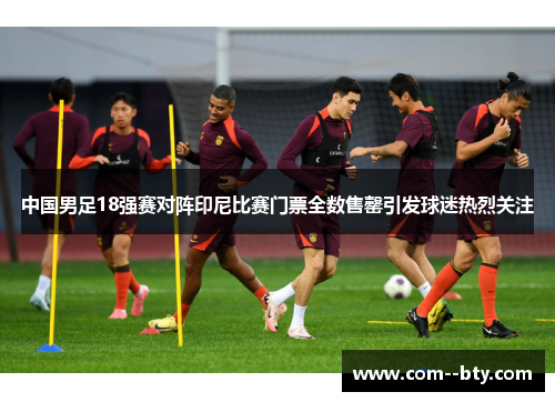 中国男足18强赛对阵印尼比赛门票全数售罄引发球迷热烈关注